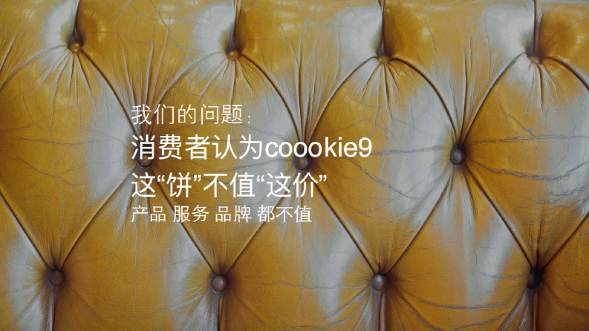 饼干coookie communication plan_第3页