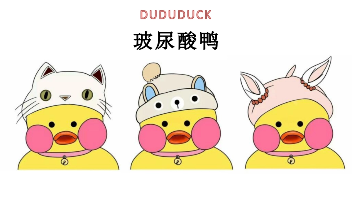 玻尿酸鸭介绍_第1页