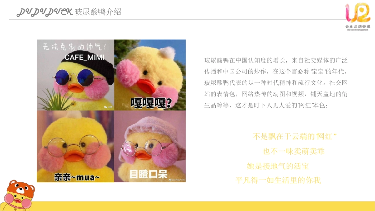 玻尿酸鸭介绍_第5页