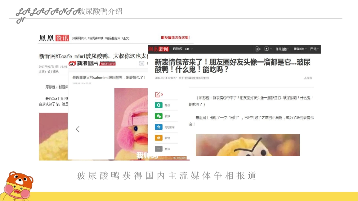 玻尿酸鸭介绍_第8页