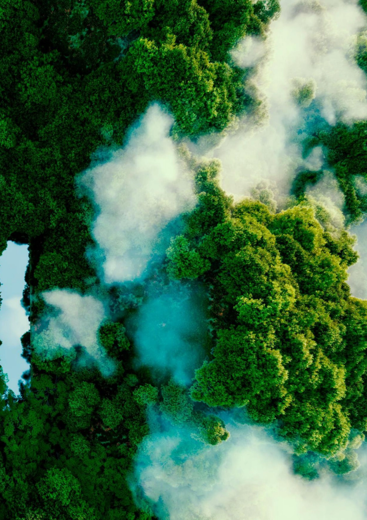 德勤&SAP:以可持续发展为引领,打造智能低碳企业_第2页