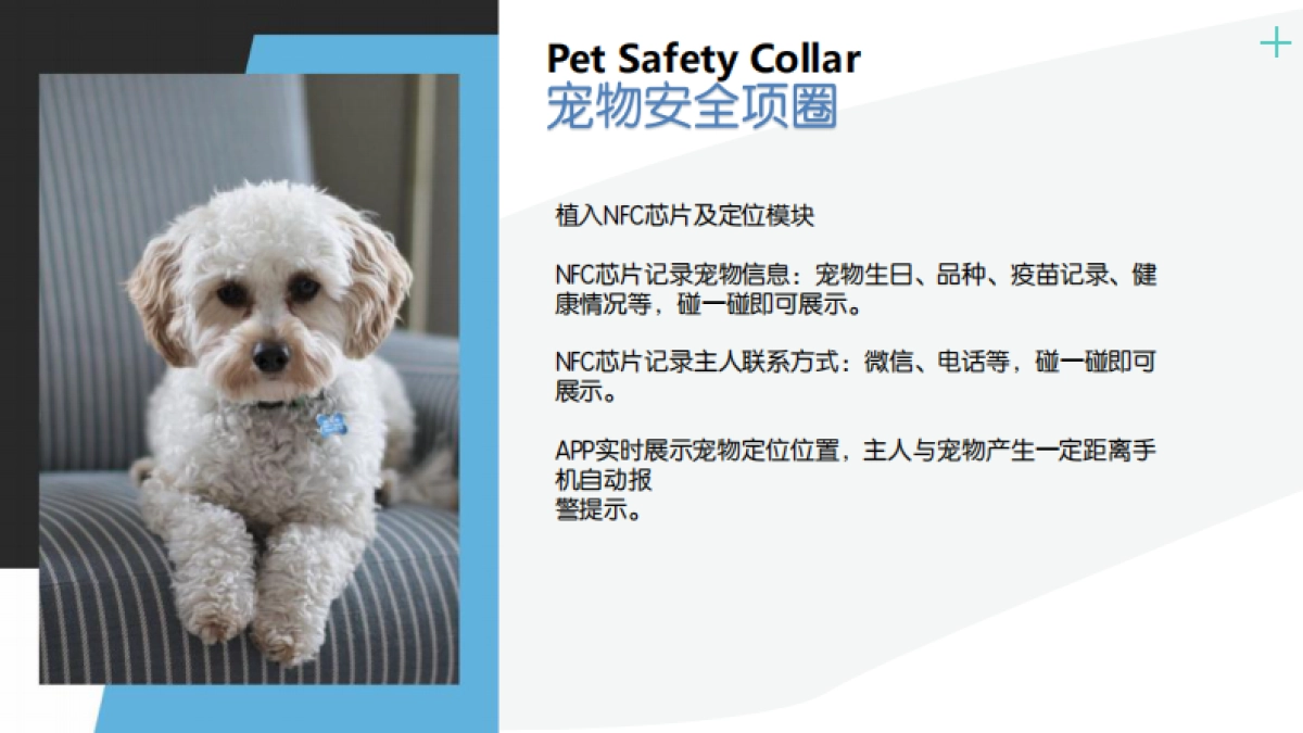 宠物NFC定位项圈计划书_第4页
