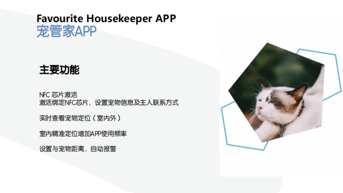 宠物NFC定位项圈计划书_第5页