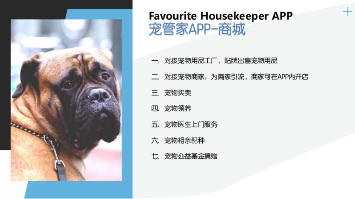 宠物NFC定位项圈计划书_第6页