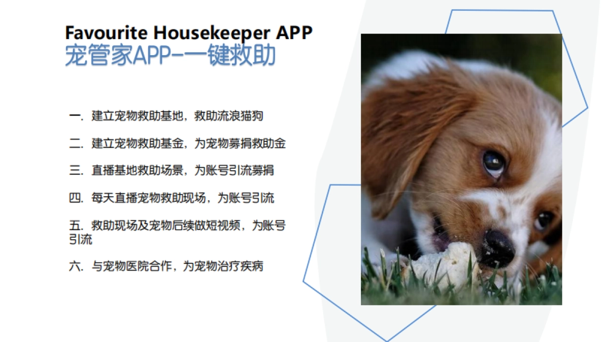 宠物NFC定位项圈计划书_第9页