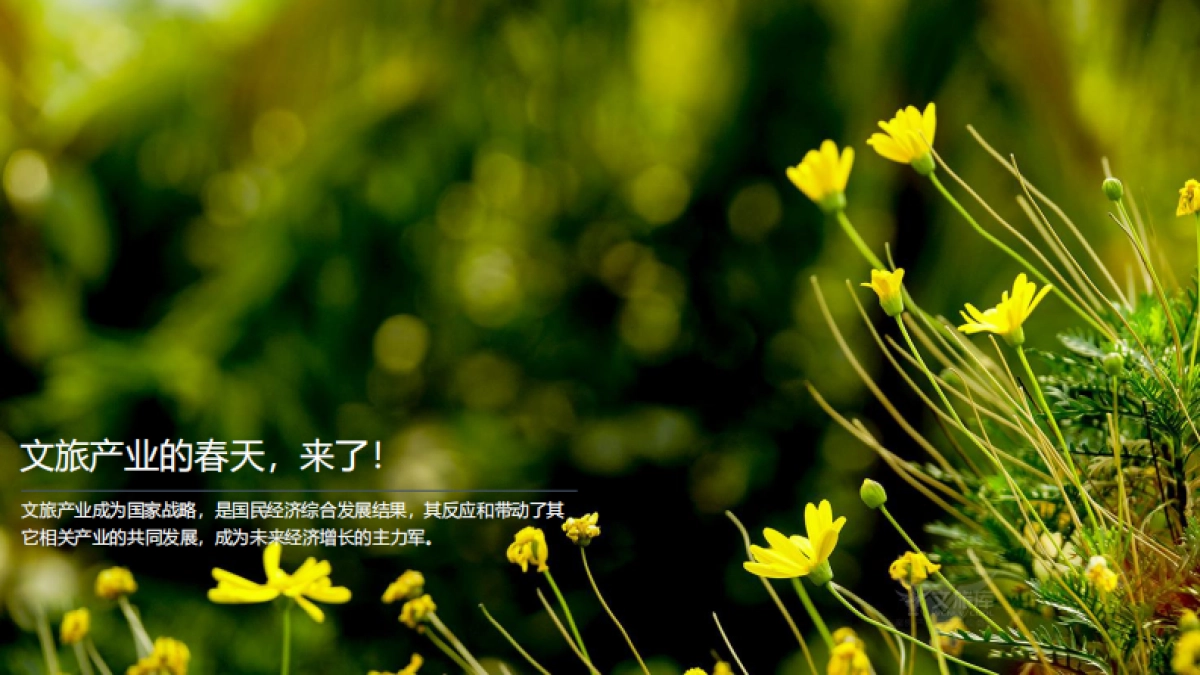 打造研学春天里的无动力游乐园_第1页