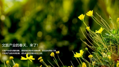 打造研学春天里的无动力游乐园