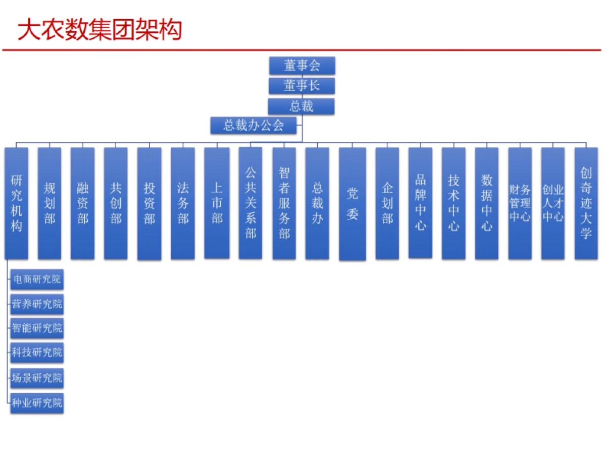大北农数字集团建设思路_第4页