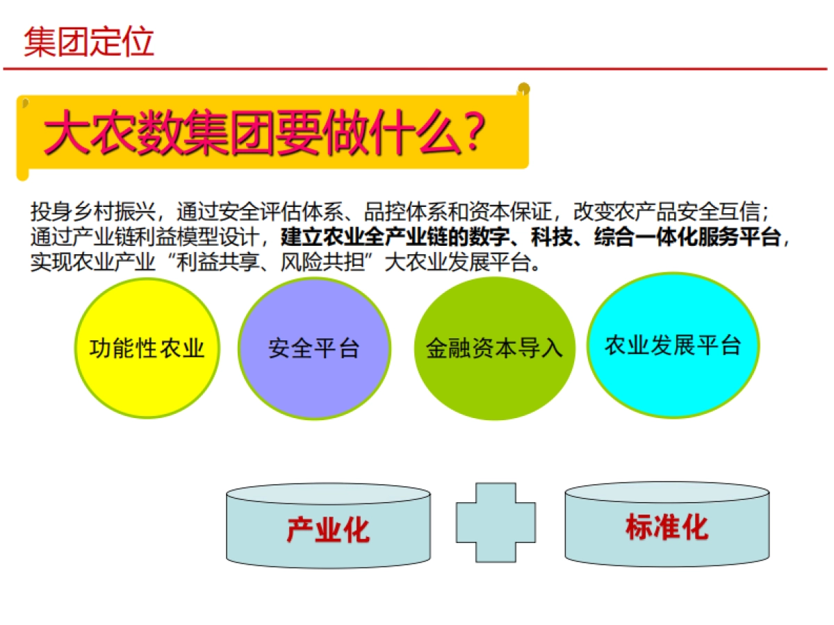 大北农数字集团建设思路_第9页