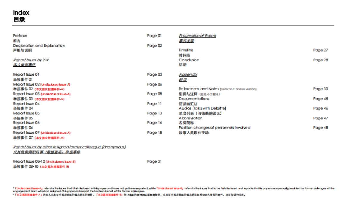 德勤举报PPT_做的真好水平高_第2页