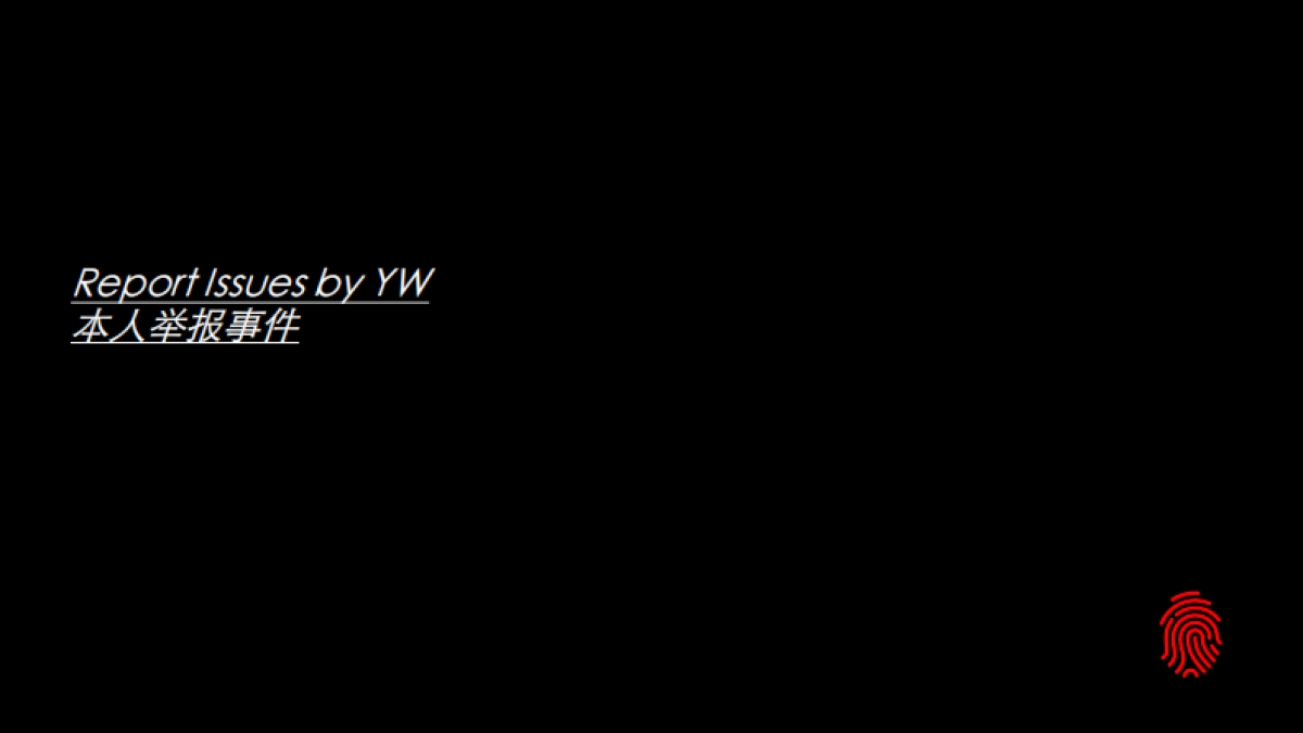 德勤举报PPT_做的真好水平高_第5页