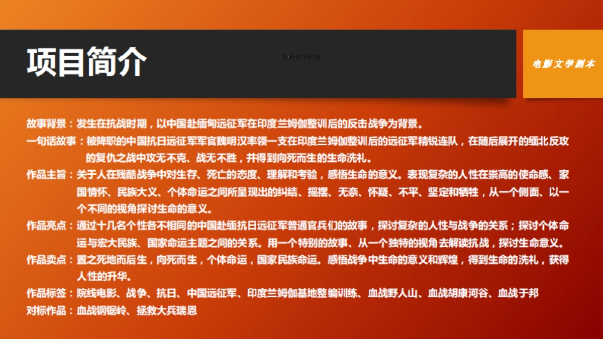 电影《死生之地》融资计划书_第3页