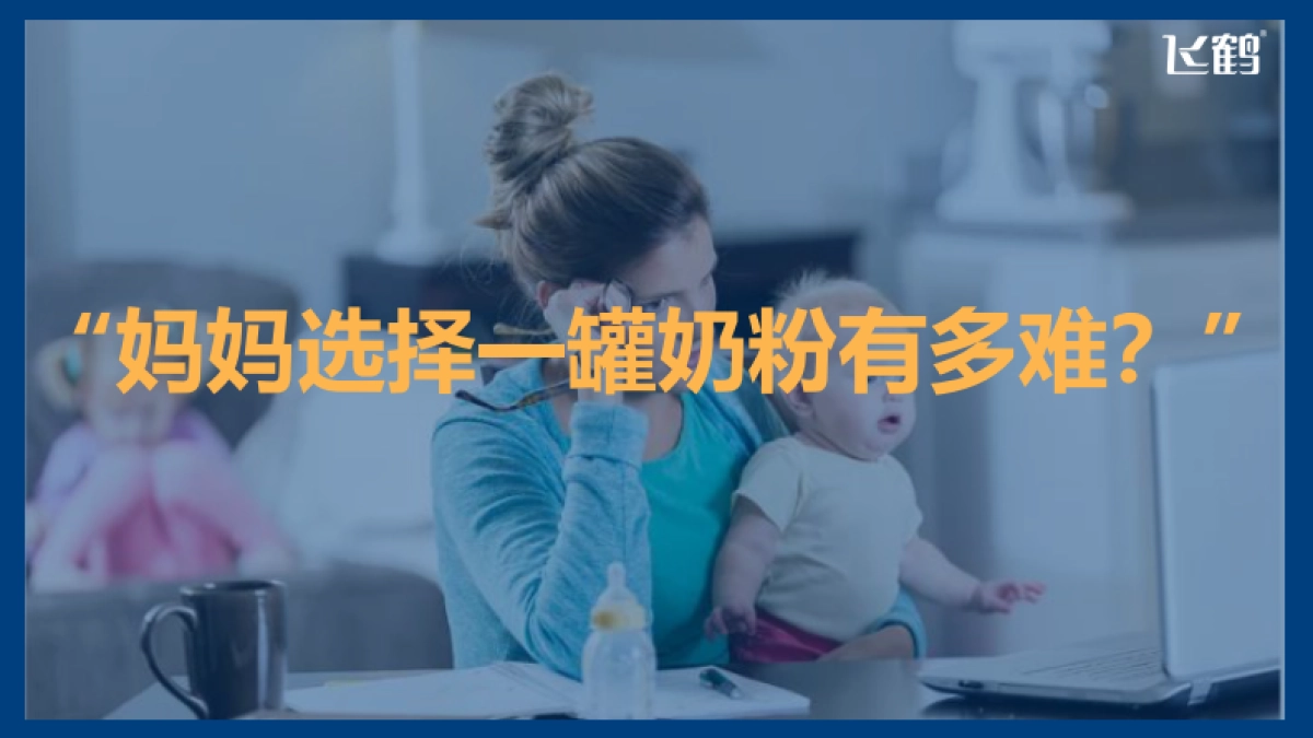 飞鹤母婴垂直媒体运营方案_第5页