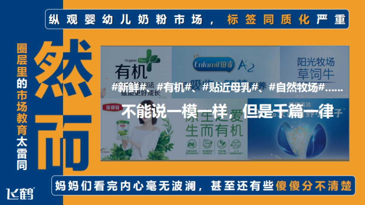 飞鹤母婴垂直媒体运营方案_第8页