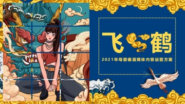 飞鹤母婴垂直媒体运营方案