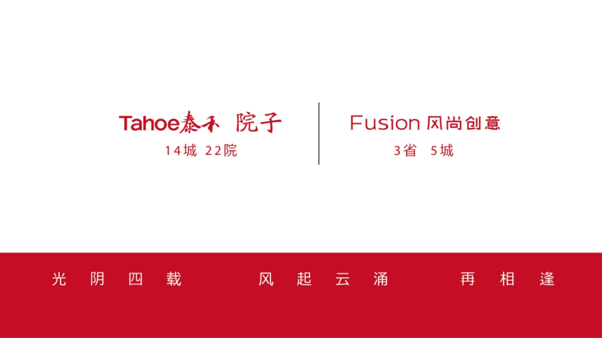 风尚合肥院子策略思考_第8页