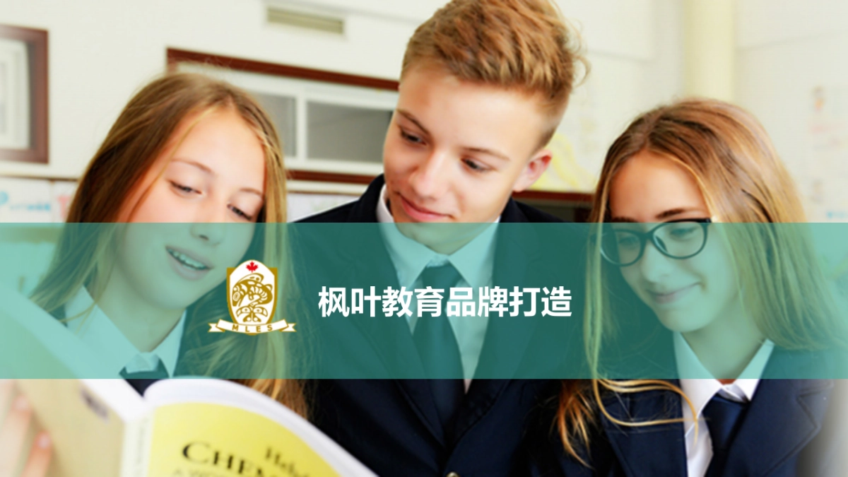 枫叶国际教育 草案_第3页