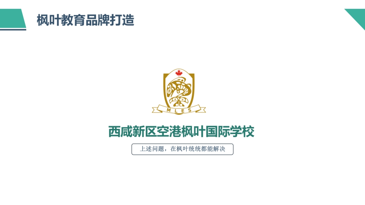 枫叶国际教育 草案_第5页