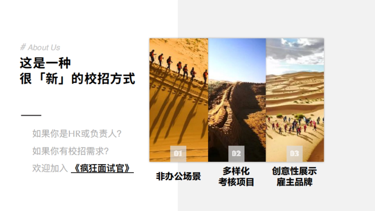 疯狂面试官校园雇主方案_第2页