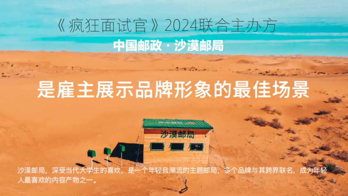 疯狂面试官校园雇主方案_第6页