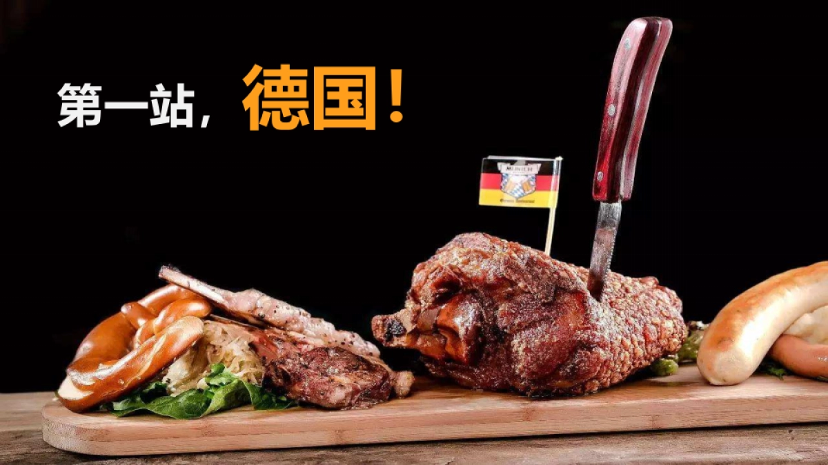 富田兴和湾环球美食之旅德国站纯净版_第5页