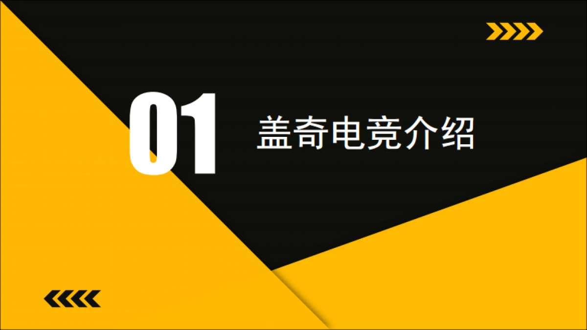 盖奇电竞_第3页