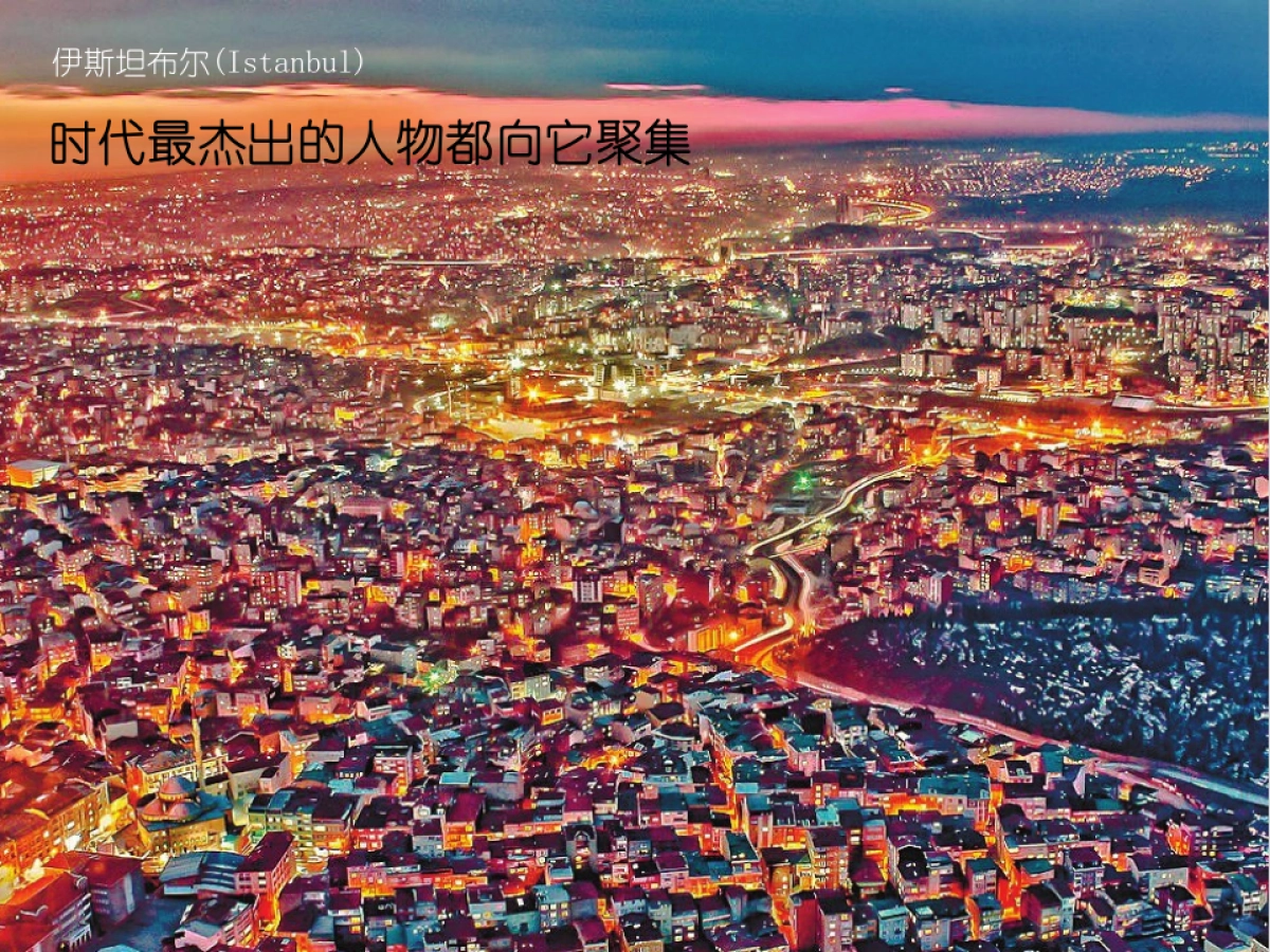 广州A金燕达观-保利大都汇策略提报_第5页