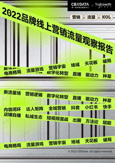 《2022品牌线上营销流量观察报告》