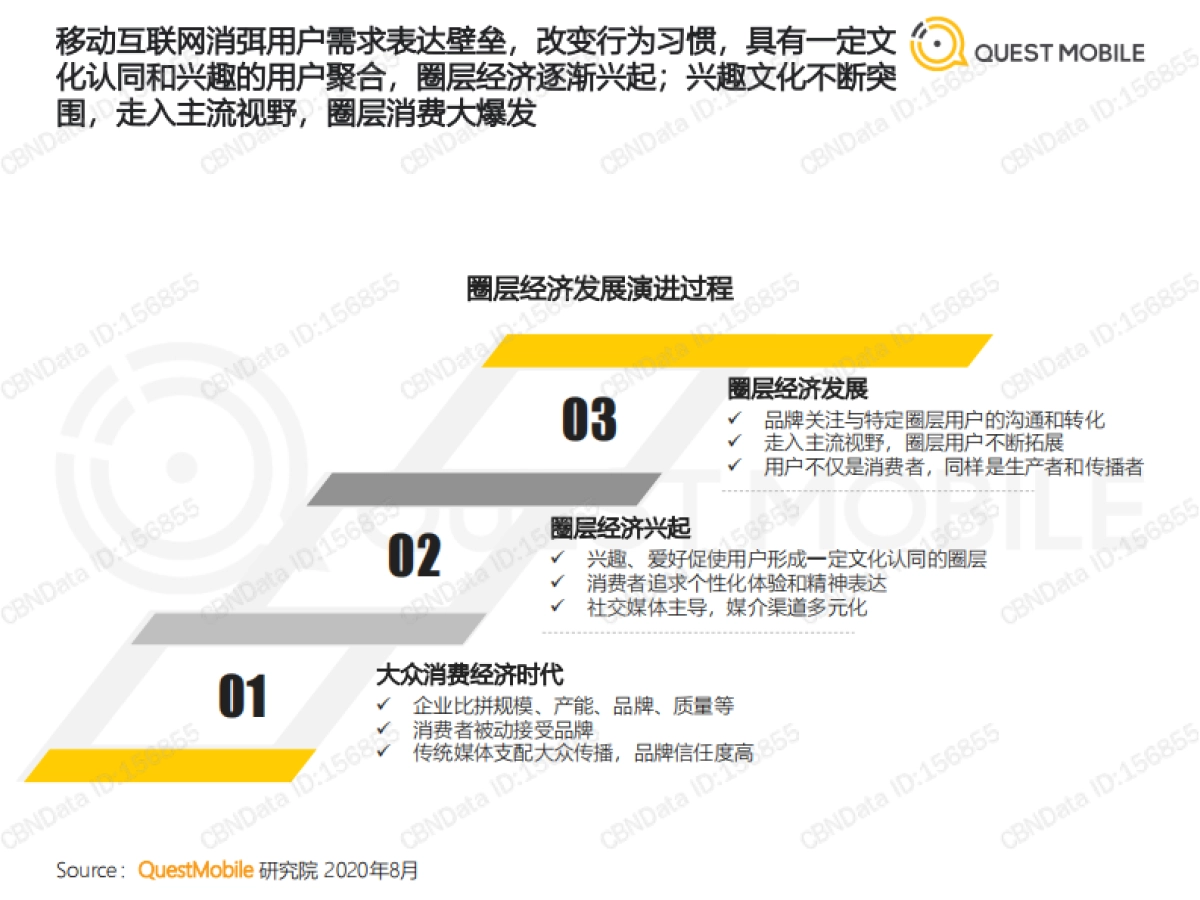 《圈层经济洞察报告》_第5页