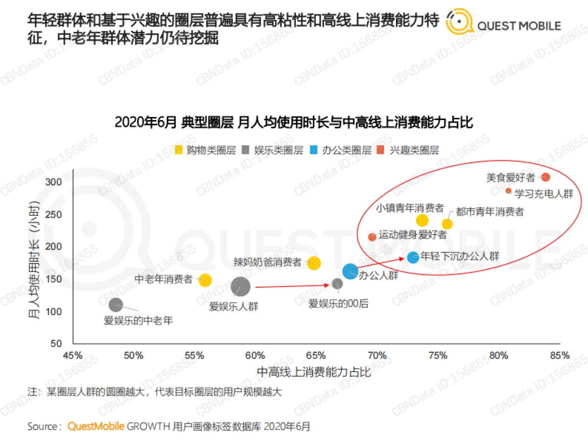 《圈层经济洞察报告》_第8页