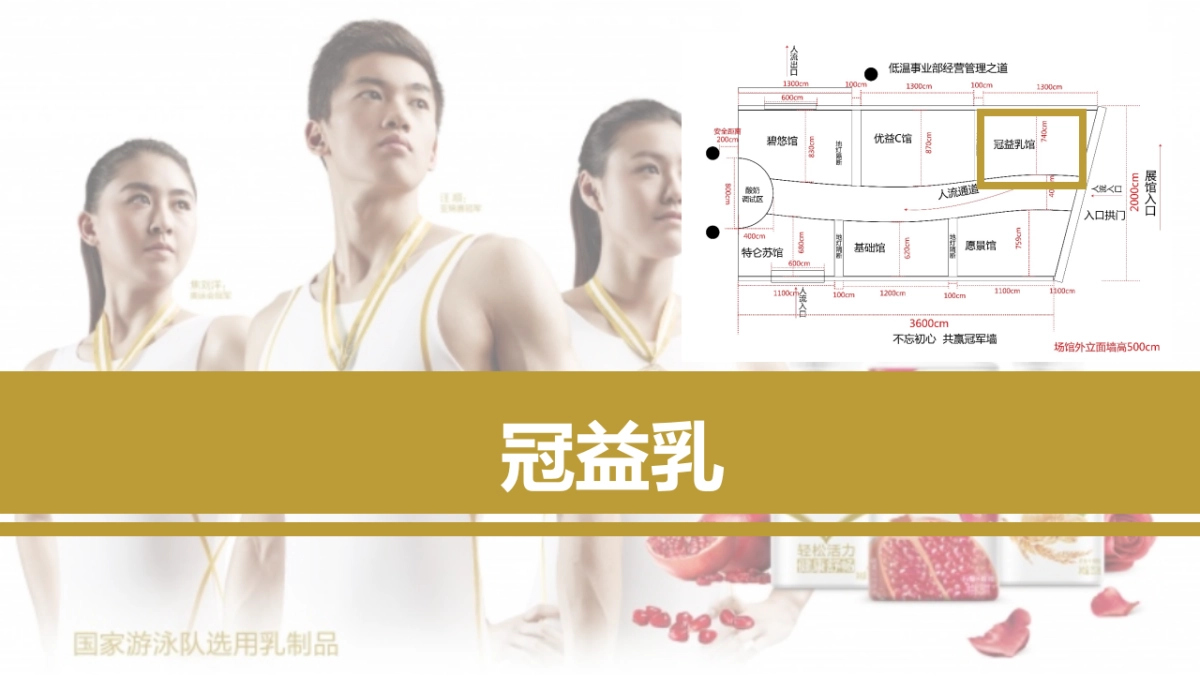 2018年客户年会低温品牌展厅总结报告_第7页