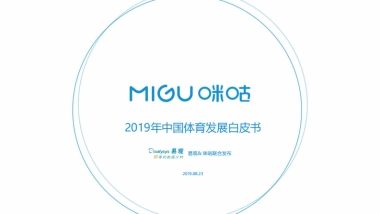 2019 中国体育发展白皮书 易观智库