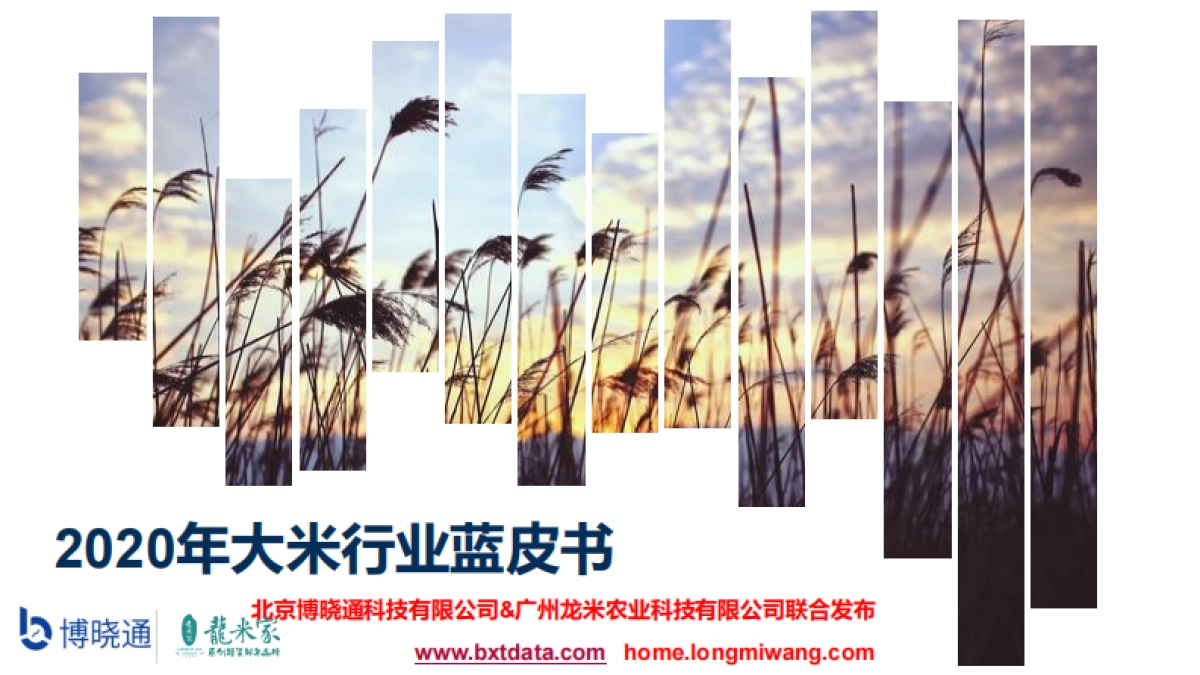2020中国大米行业蓝皮书-博晓通_第1页