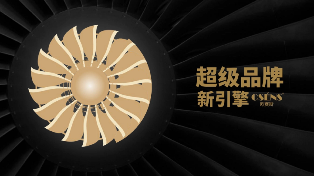 2019伊派·爱马仕品牌研究报告方案_第2页