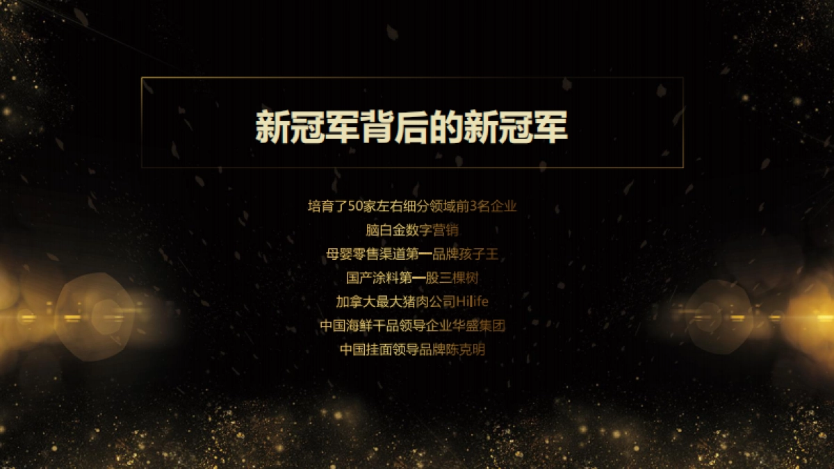 2019伊派·爱马仕品牌研究报告方案_第3页