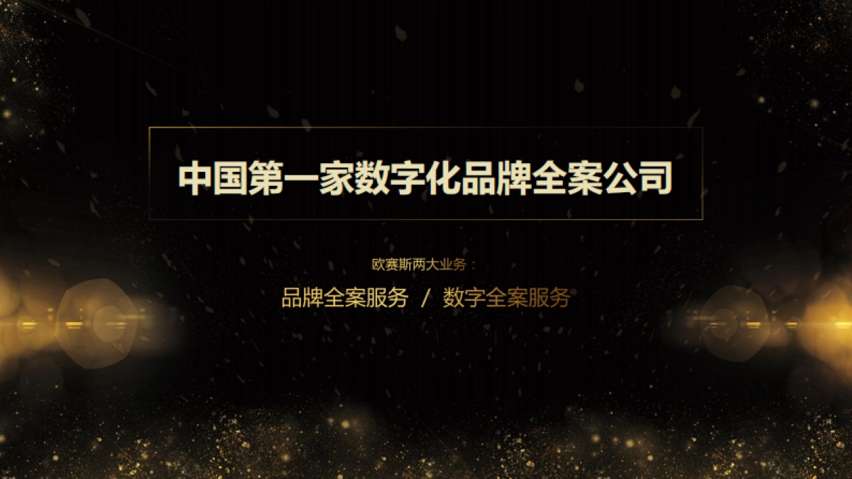 2019伊派·爱马仕品牌研究报告方案_第4页