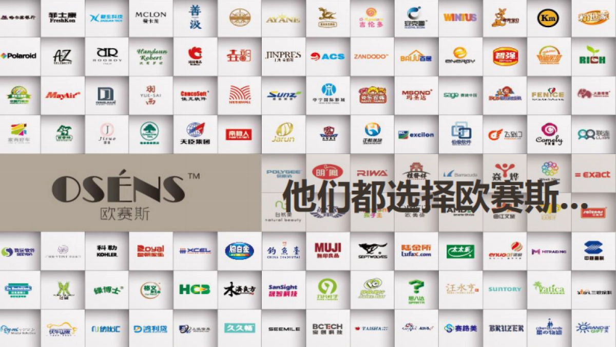 2019伊派·爱马仕品牌研究报告方案_第5页