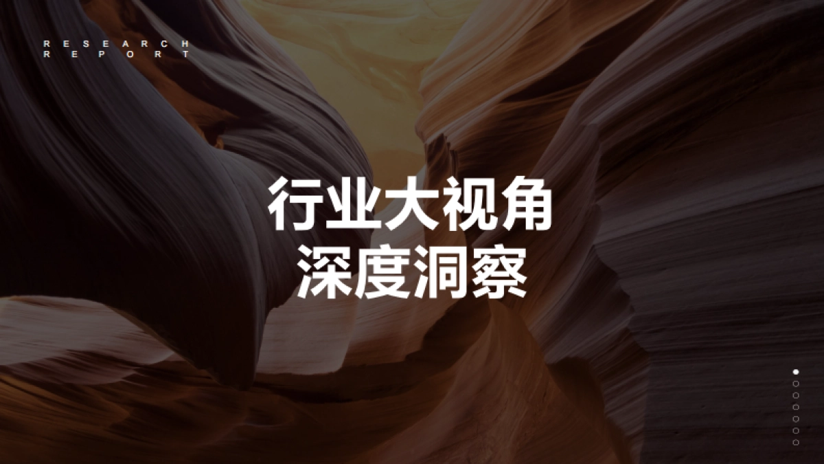 2019伊派·爱马仕品牌研究报告方案_第8页