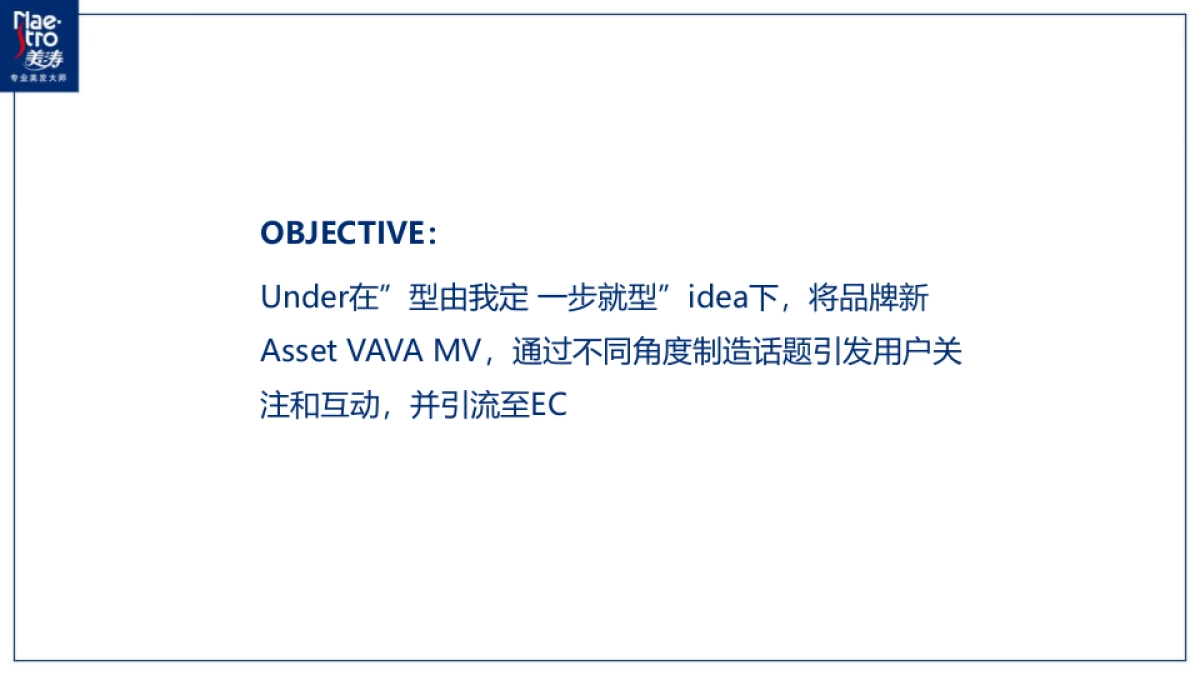 2020Maestro RL Campaign x VAVA_第2页