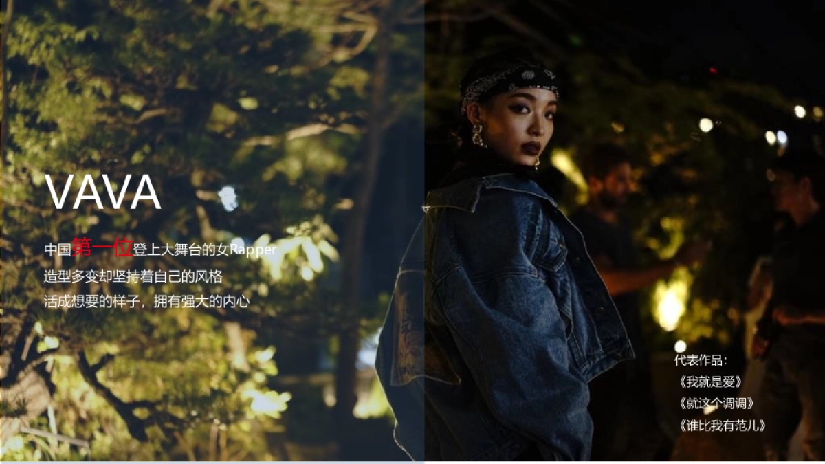 2020Maestro RL Campaign x VAVA_第3页