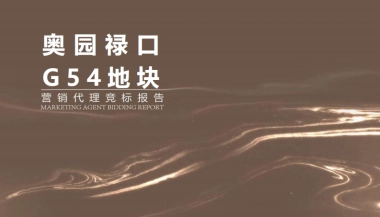 2020奥园禄口G54营销代理竞标报告