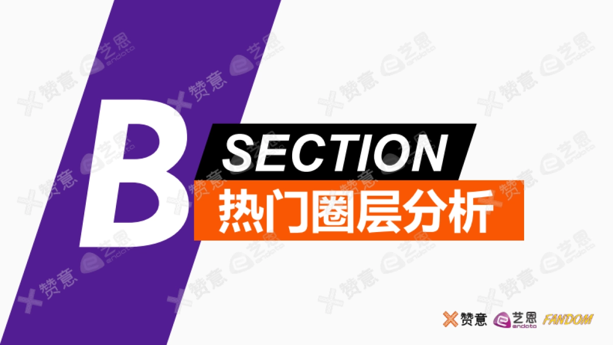 2020垂直圈层营销报告-赞意_第8页
