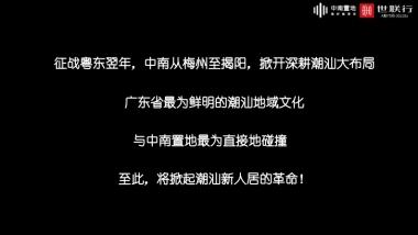 2020惠州世联-揭阳中南樾府项目营销策略报告（汇报版）