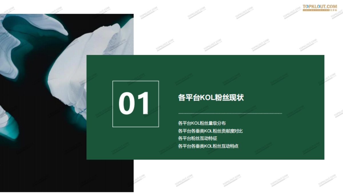 2020年看得见的粉丝价值--四大平台KOL粉丝分析研究报告-克劳锐出品_第5页