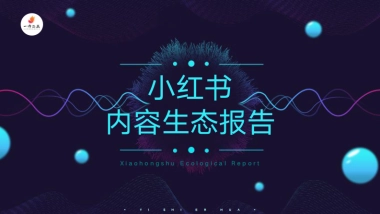 2020年小红书内容生态报告-一诗二画