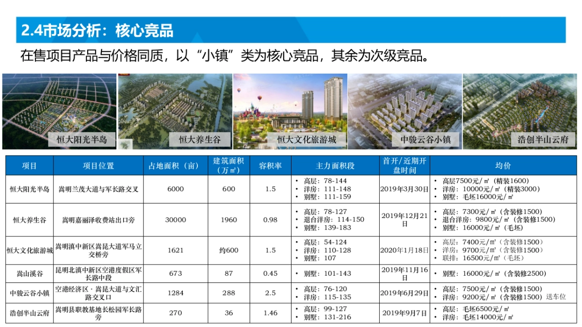 2020招商-依云国际社区营销策略报告_第10页
