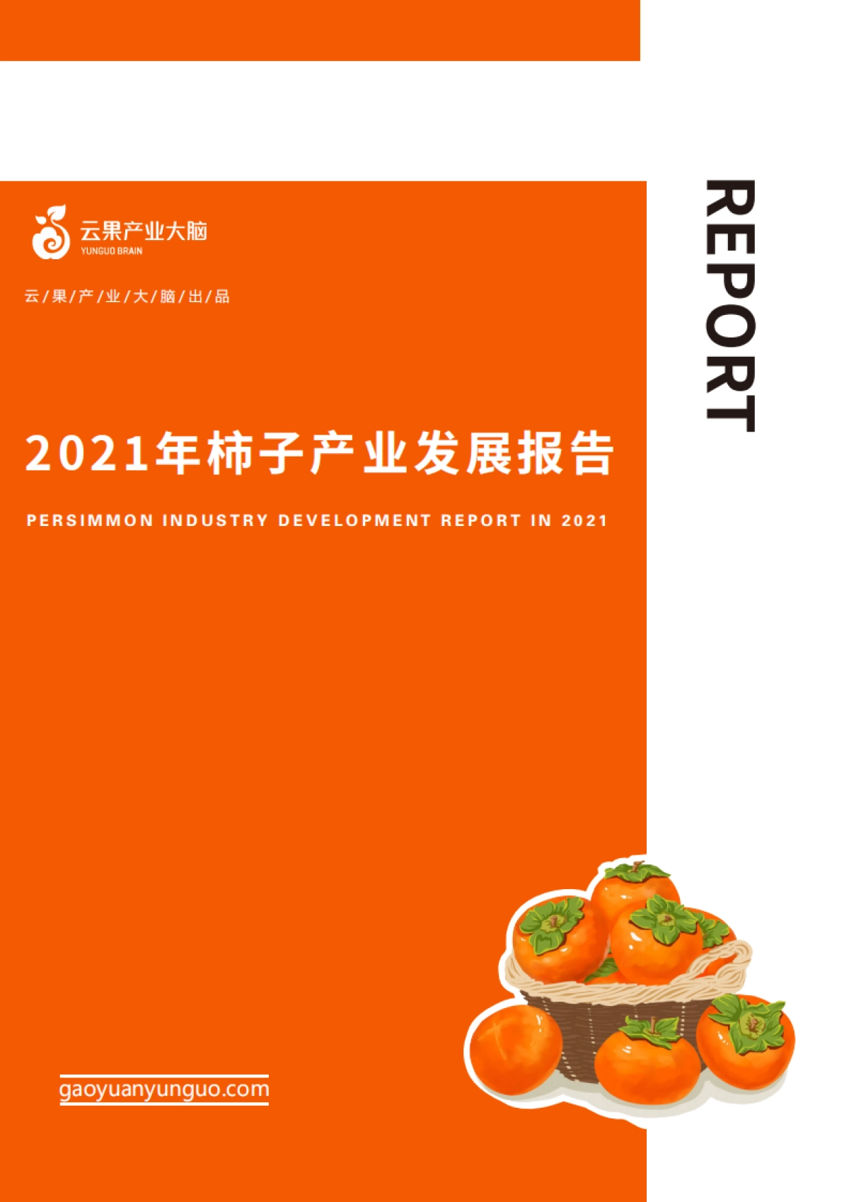 2021年柿子产业发展报告-云果产业大脑-46页_第1页