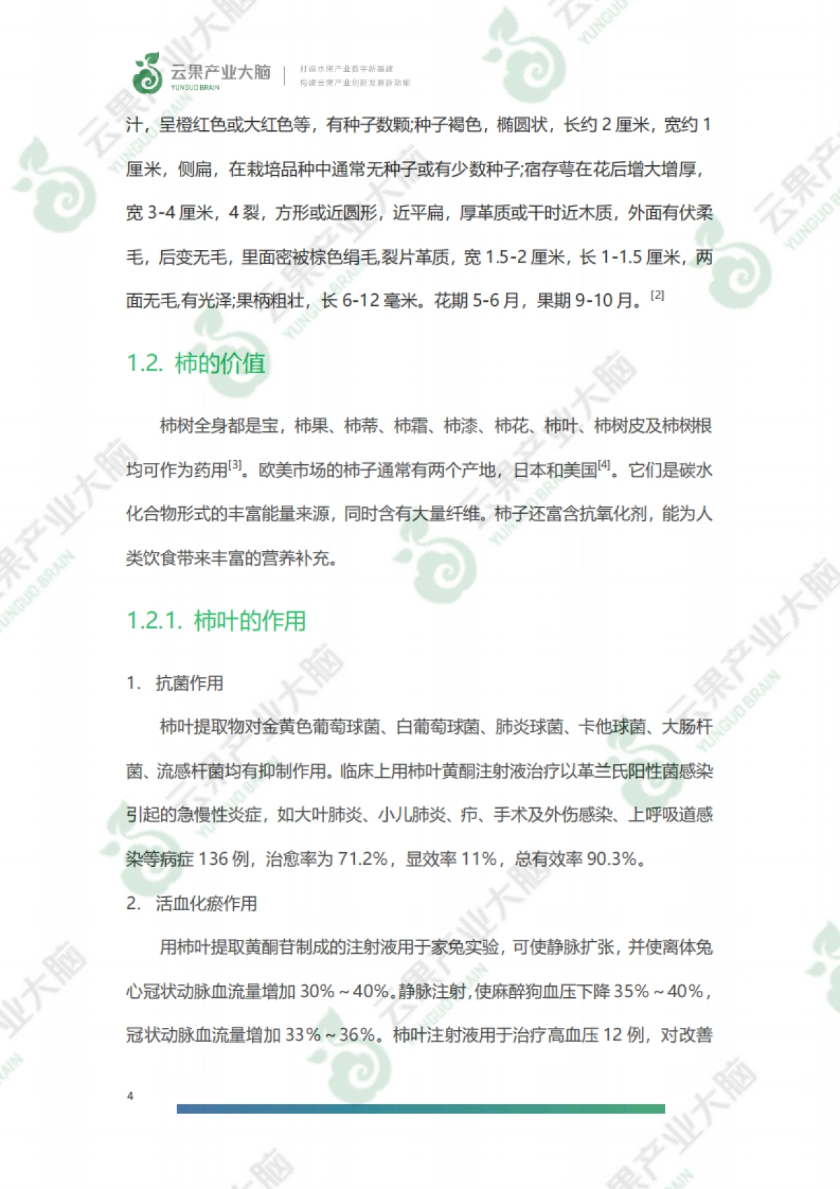 2021年柿子产业发展报告-云果产业大脑-46页_第10页