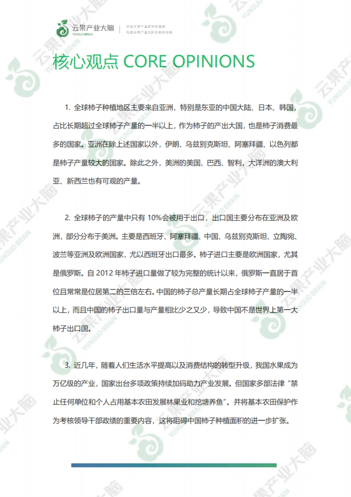 2021年柿子产业发展报告-云果产业大脑-46页_第3页