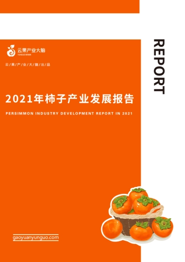 2021年柿子产业发展报告-云果产业大脑-46页